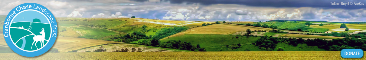 Make a Donation to the North Wessex Downs Landscape Trust
